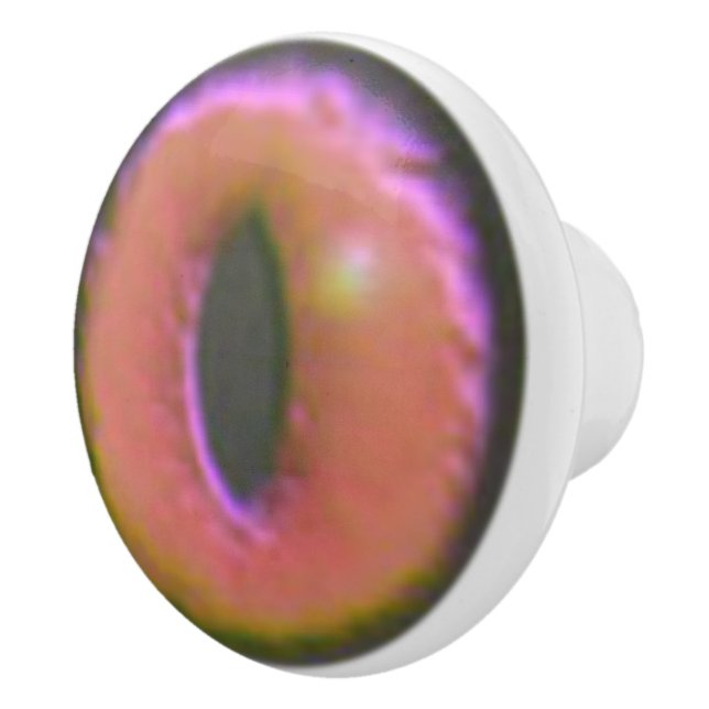 Eerie Cat Eyeball Ceramic Knob (Right)