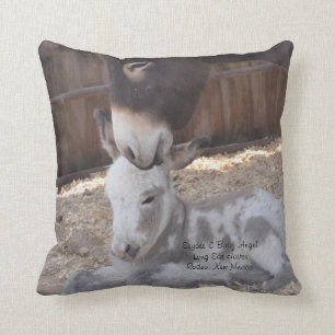 Eeyore and Angel Cushion