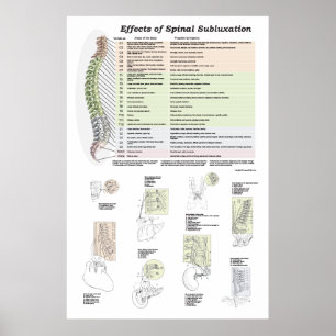 Effects of Spinal Subluxation Poster Chiropractic