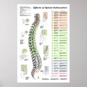Effects of Spinal Subluxation Poster Chiropractic