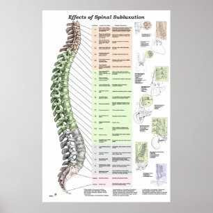 Effects of Spinal Subluxation Poster Chiropractic