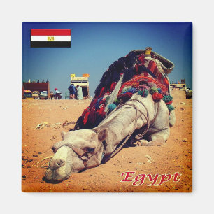 EG - Egypt - Camel tired Magnet
