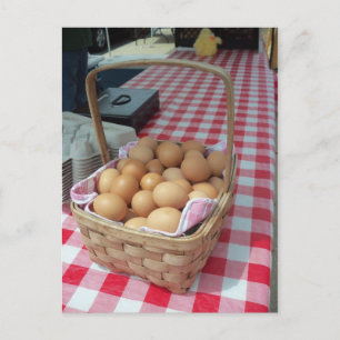 Egg Basket Postcard