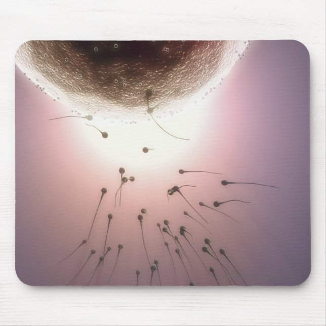 Egg being fertilised by sperm mouse pad (Front)