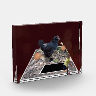 Egg-cellent Feast: Giant Chicken's Pop-Out Design Photo Block