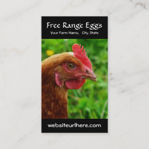 Egg Farming Rural Chicken Photo Business Card