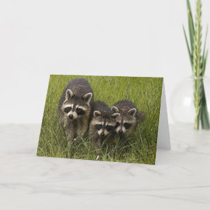 Egg Hunt Card