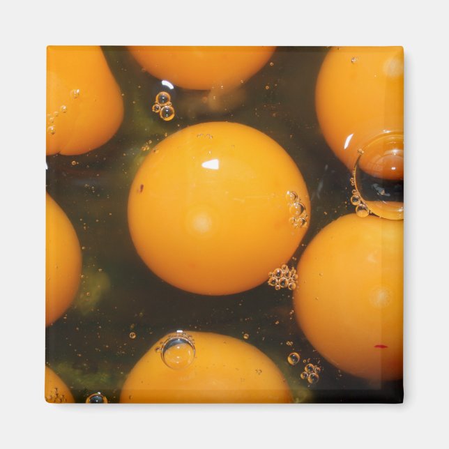 Egg Magnet (Front)
