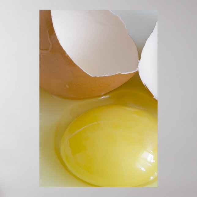Egg Poster (Front)