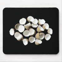 Egg Shells