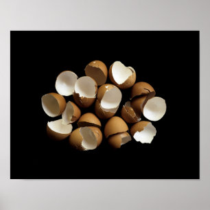 Egg Shells Poster