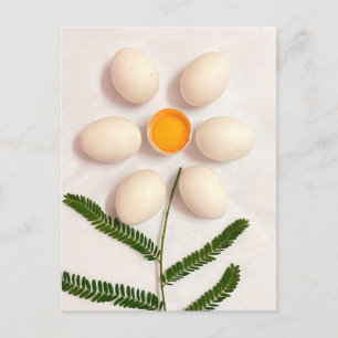 Egg Yolk Flower Postcard