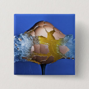 Eggceptional 15 Cm Square Badge