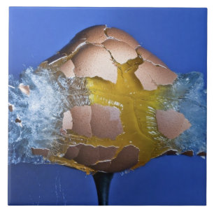 Eggceptional Ceramic Tile