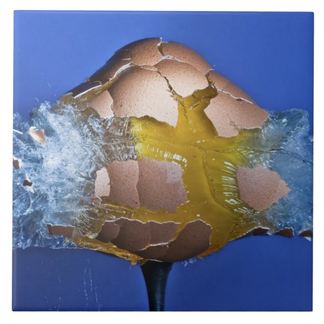 Eggceptional Ceramic Tile (Front)