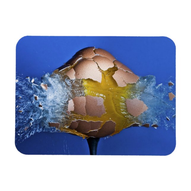 Eggceptional Magnet (Horizontal)