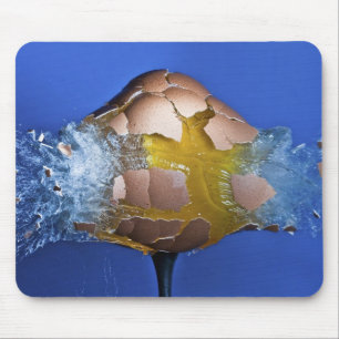 Eggceptional Mouse Pad