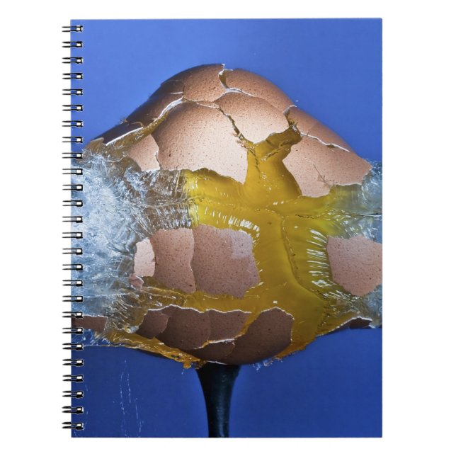 Eggceptional Notebook (Front)