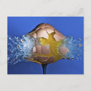 Eggceptional Postcard
