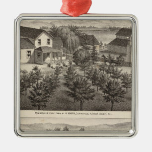 Egger, Haines residences, farms Metal Ornament