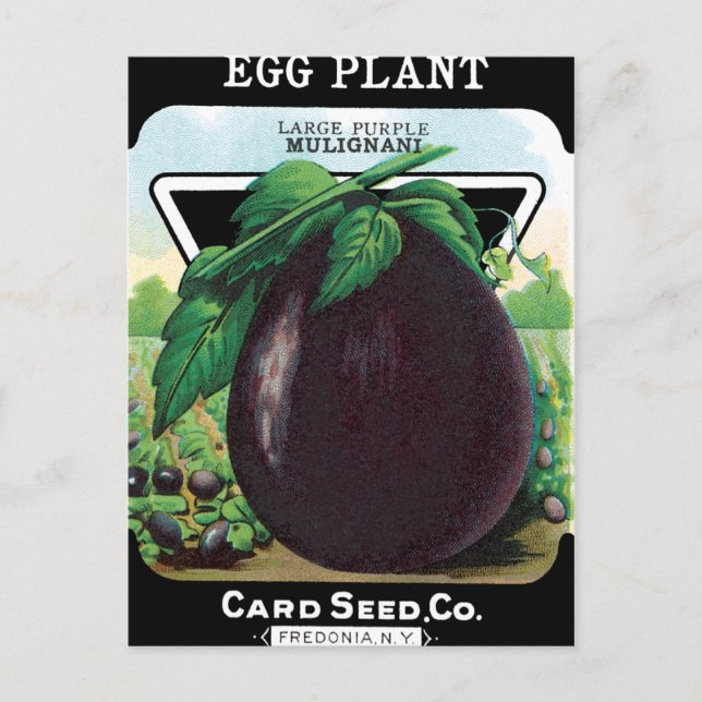 Eggplant Seed Packet Postcard (Front)