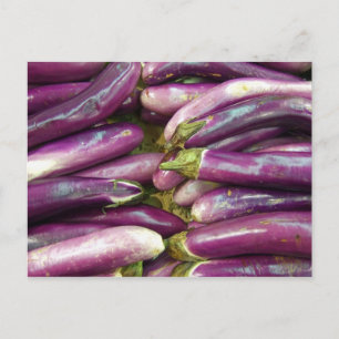 Eggplants Postcard