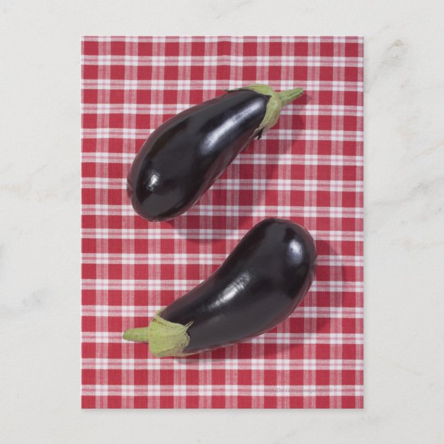 Eggplants Postcard (Front)