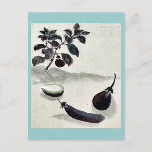 Eggplants with plant growing in the background Uki Postcard