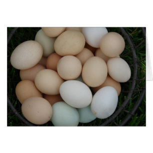 Eggs