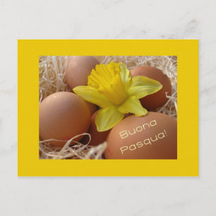Eggs and daffodil easter greeting - italian holiday postcard