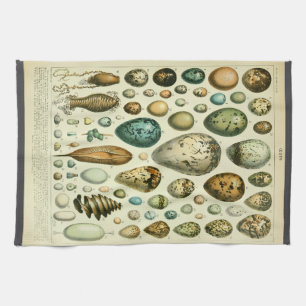 Eggs antique natural history illustration millot tea towel