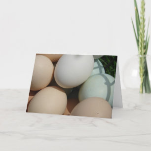 Eggs Card