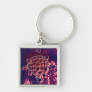 Eggs in an ovum key ring
