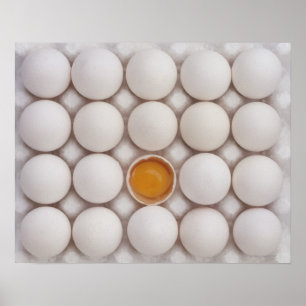 Eggs Poster