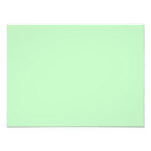 Eggshell Blue Green Pastel Colour Background Photo Print