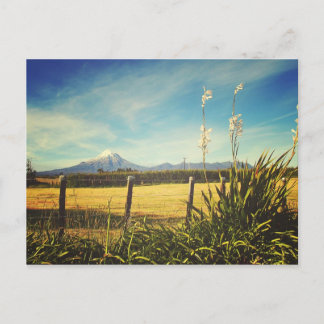 Egmont Village Postcard