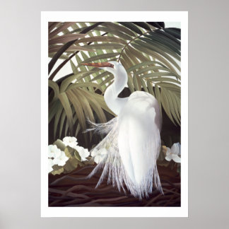 Egret and Palms Poster