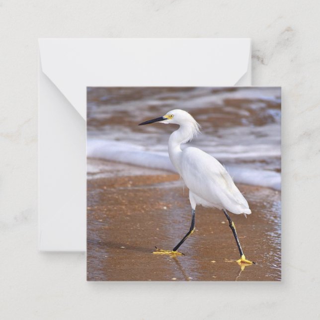 Egret at the Beach mini notecard set (Front)