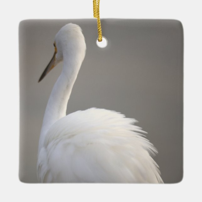 Egret Bird Ornament  (Front)