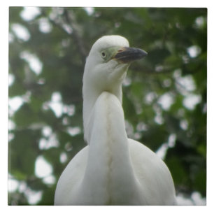 Egret Close Up Ceramic Tile
