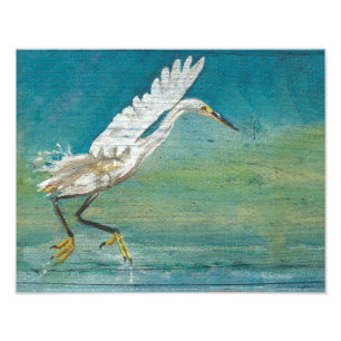 Egret Coastal Bird Ocean Lake Painting Photo Print