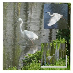 Egret Collage Ceramic Tile