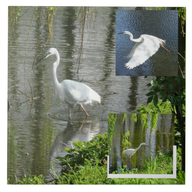 Egret Collage Ceramic Tile (Front)