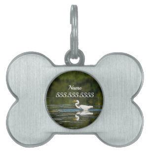 Egret Fish Feast Pet ID Tag