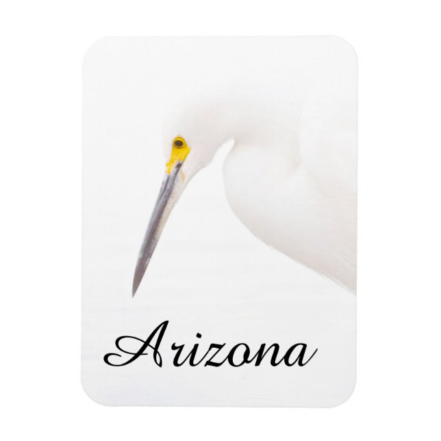 Egret headshot, Arizona Magnet (Vertical)