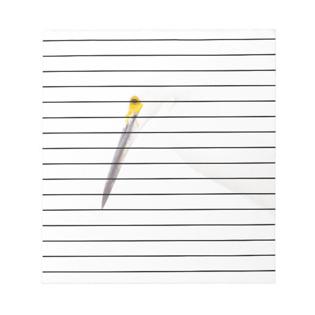 Egret headshot notepad (Front)