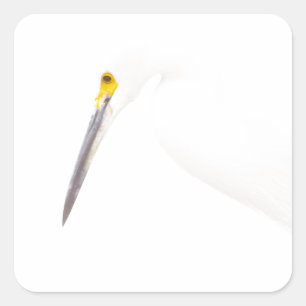 Egret headshot square sticker