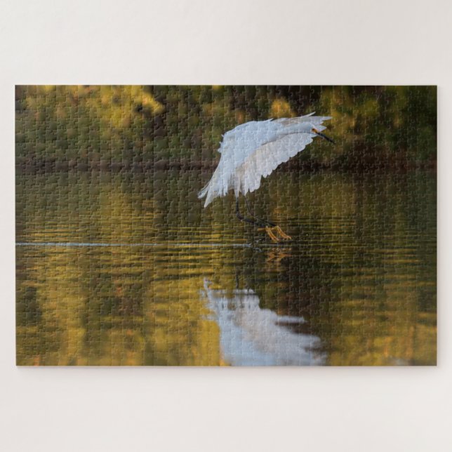Egret in flight over Golden Pond Jigsaw Puzzle (Horizontal)