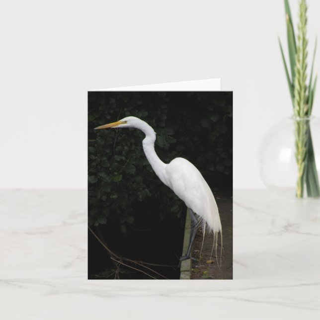 Egret note card (Front)
