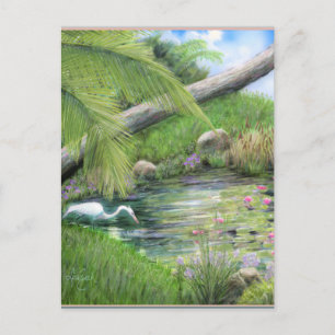 Egret on Pond Postcard